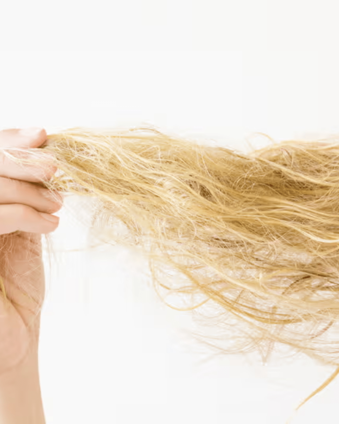 Cheveux secs et déshydratés : causes et solutions