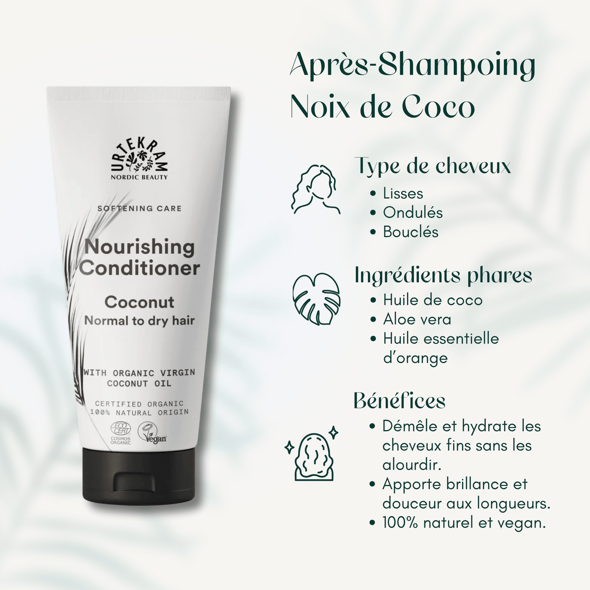 Après-Shampoing Noix de Coco
