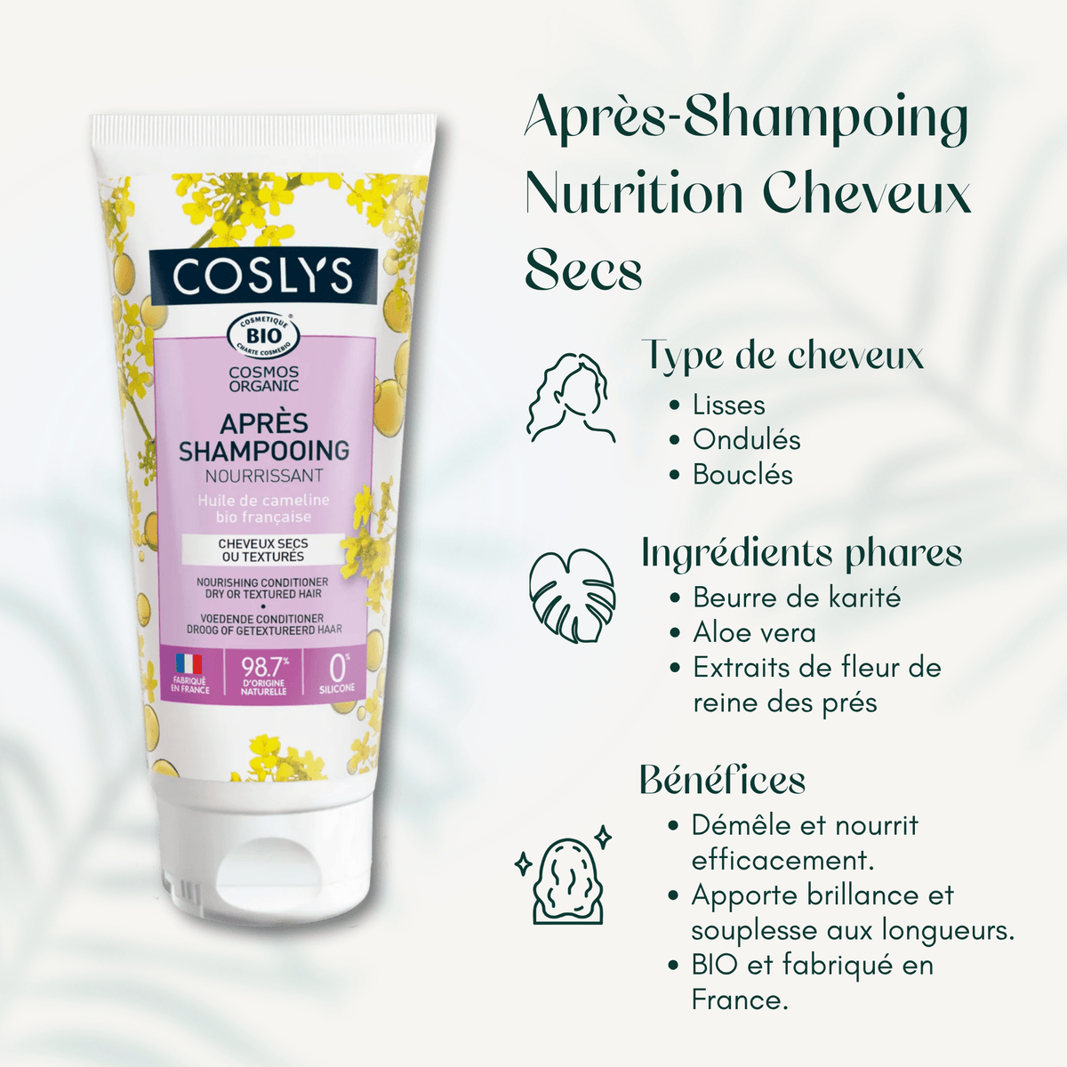 Après-Shampoing Nutrition Cheveux Secs