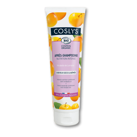 Après-Shampoing Nutrition Cheveux Secs