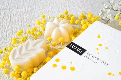 Coffret Mimosa Umai