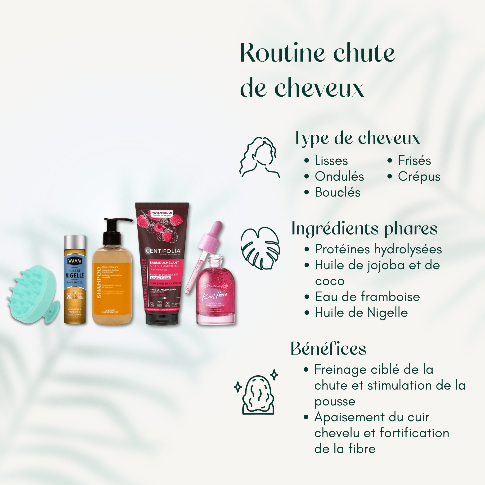 Routine chute de cheveux