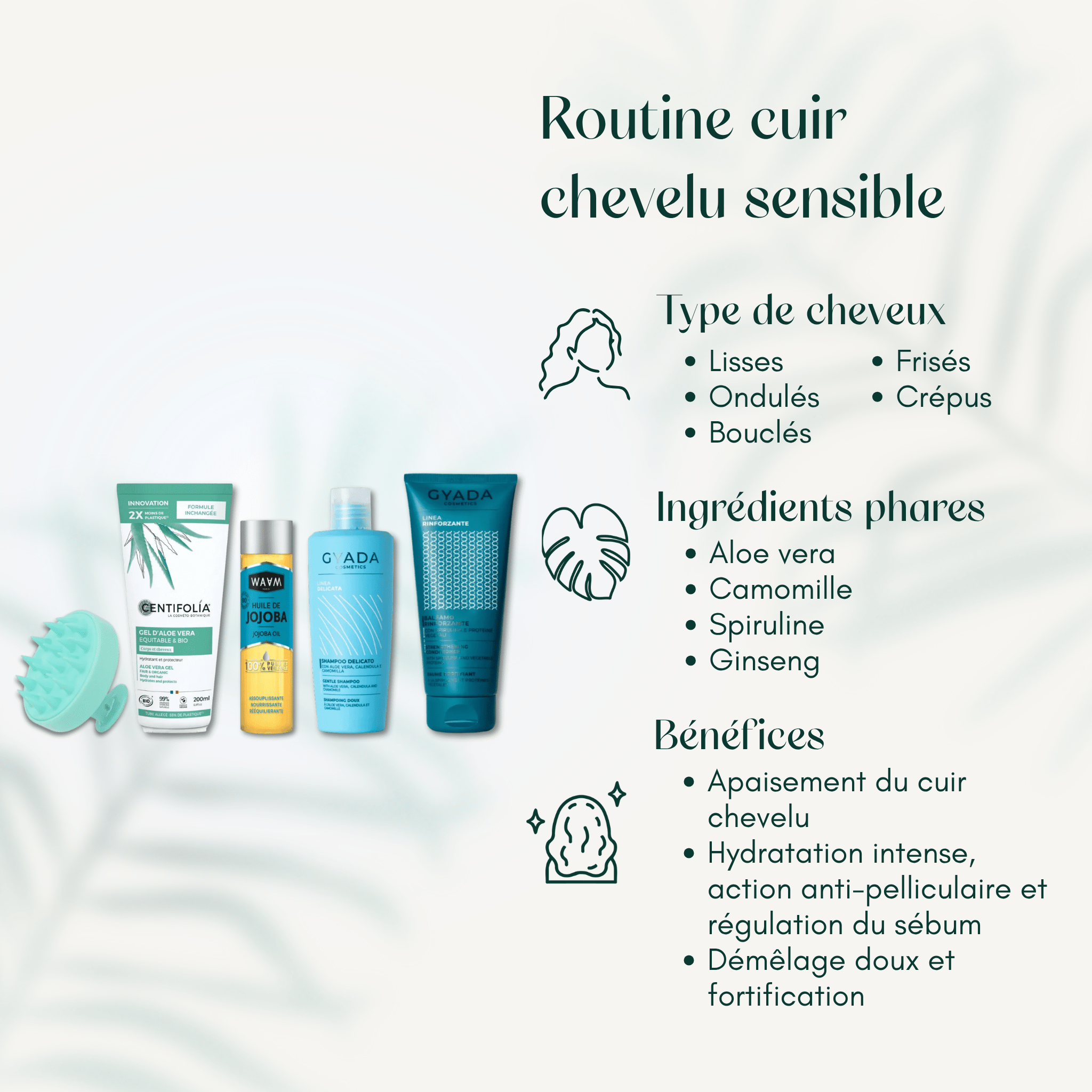 Routine cuir chevelu sensible
