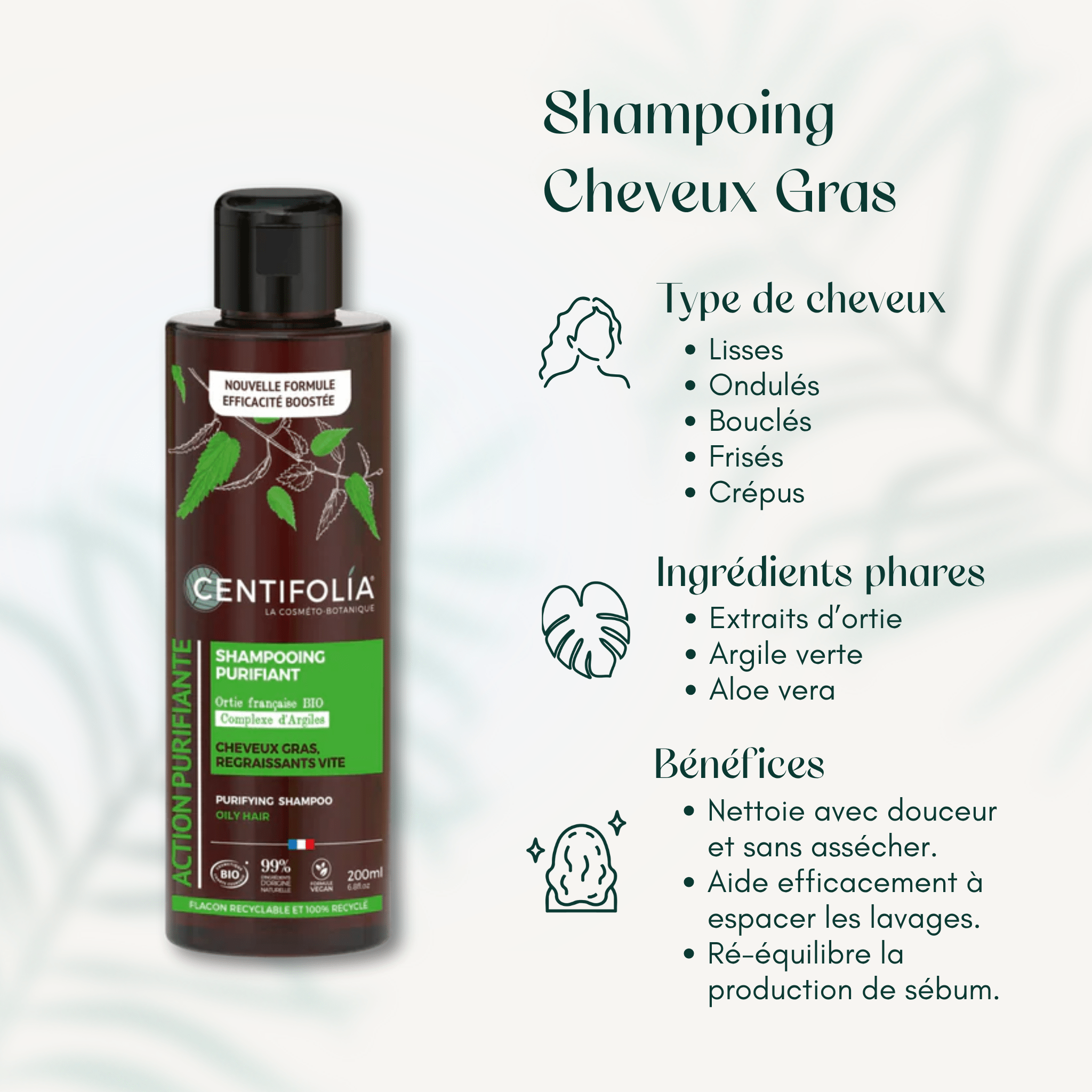 Shampoing Cheveux Gras