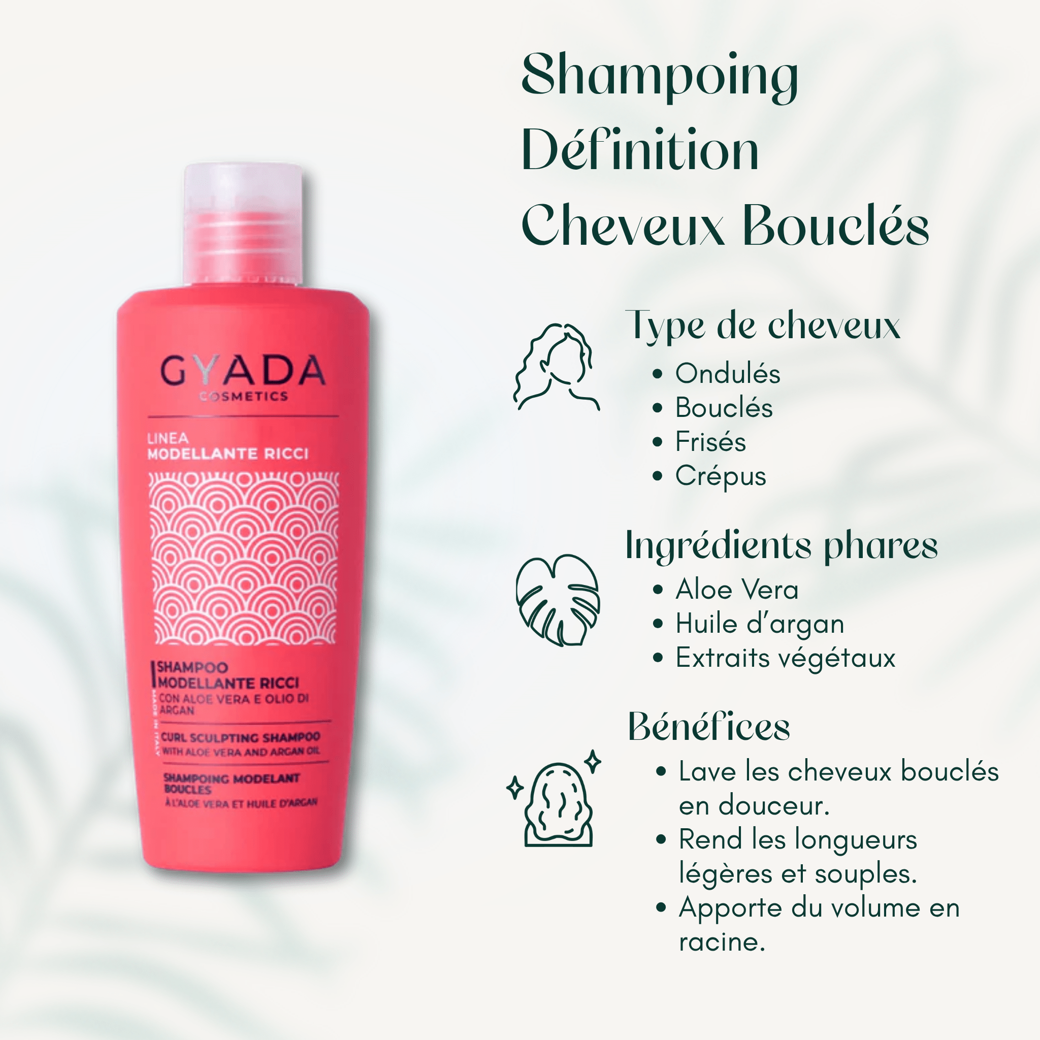Shampoing Définition Cheveux Bouclés