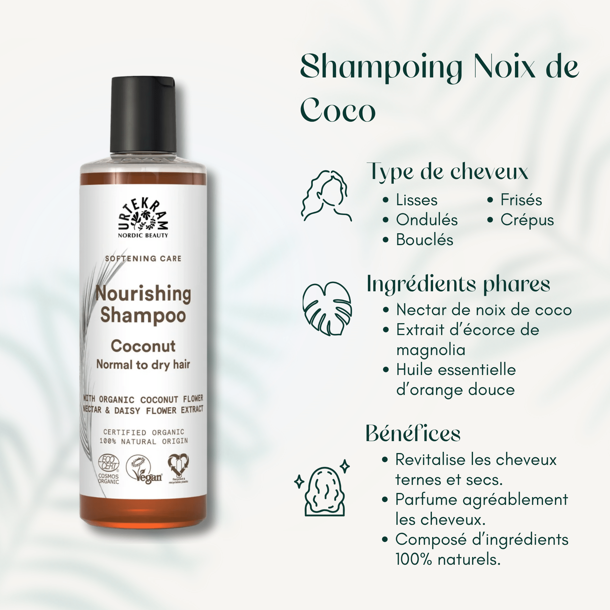 Shampoing Noix de Coco