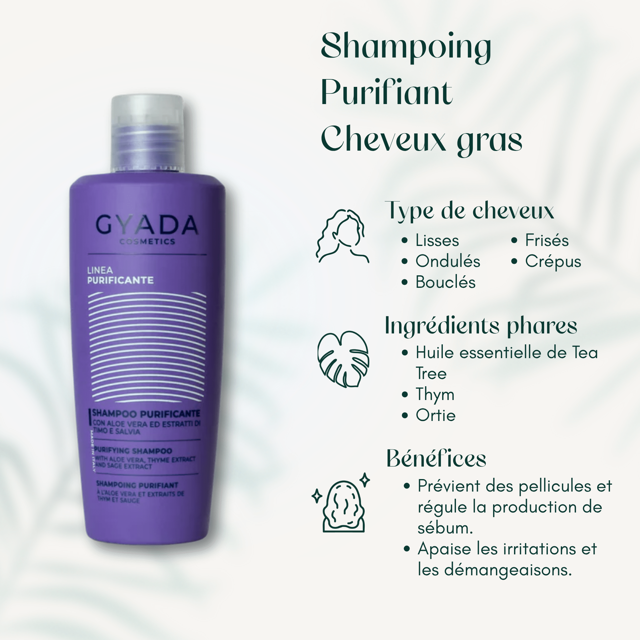 Shampoing Purifiant Cheveux gras