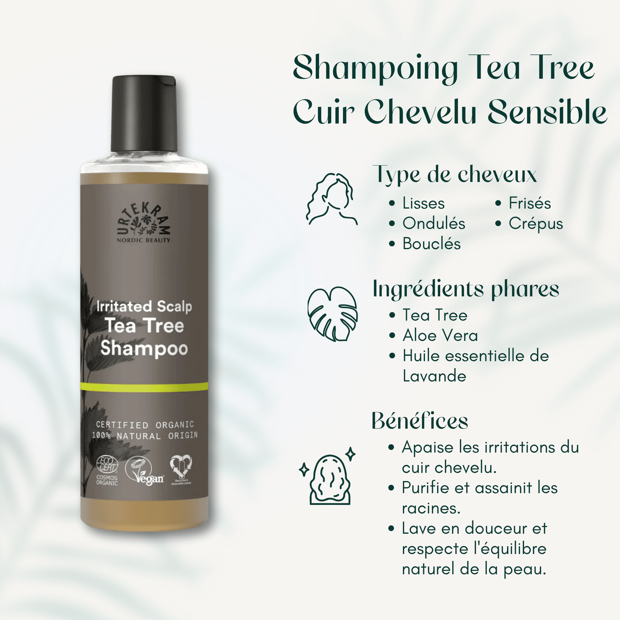 Shampoing Tea Tree Cuir Chevelu Sensible