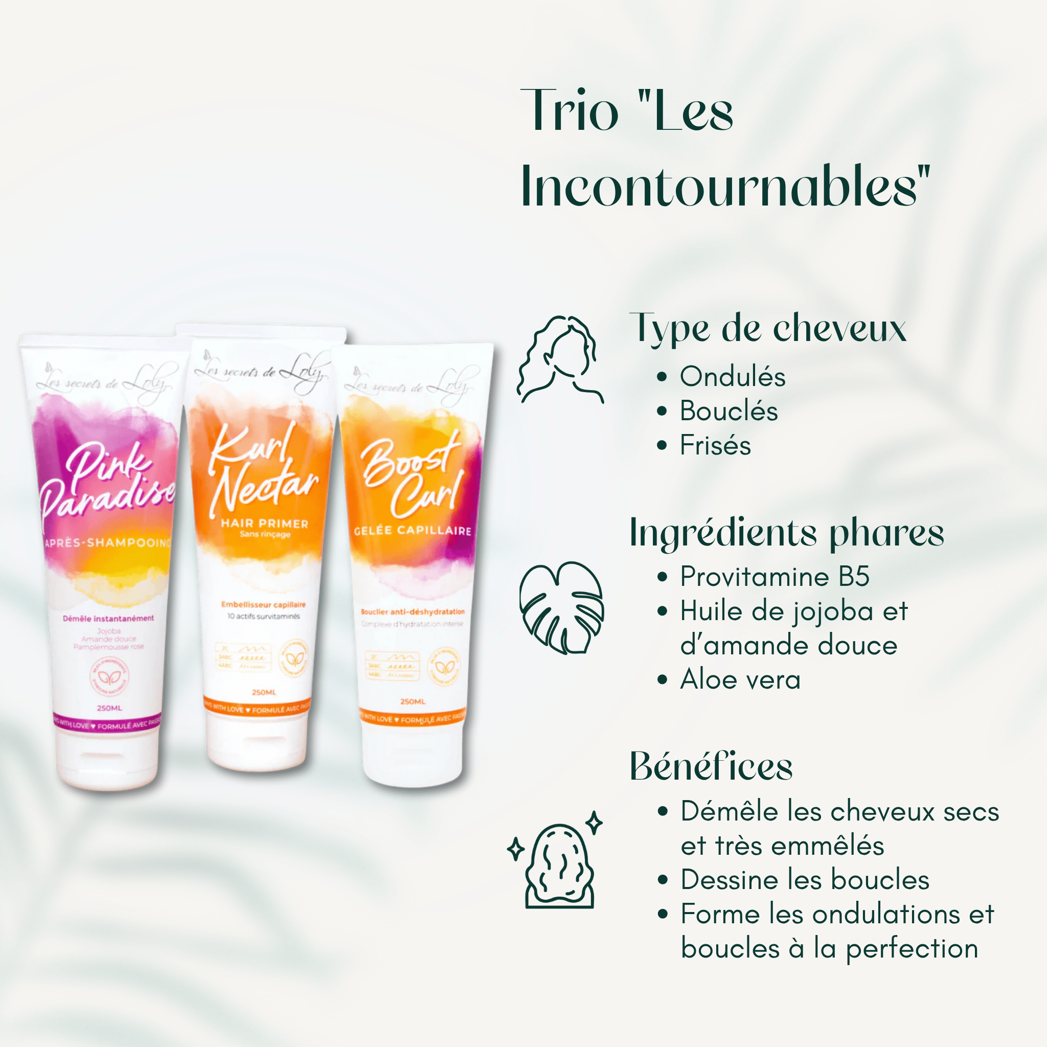 Trio "Les Incontournables"