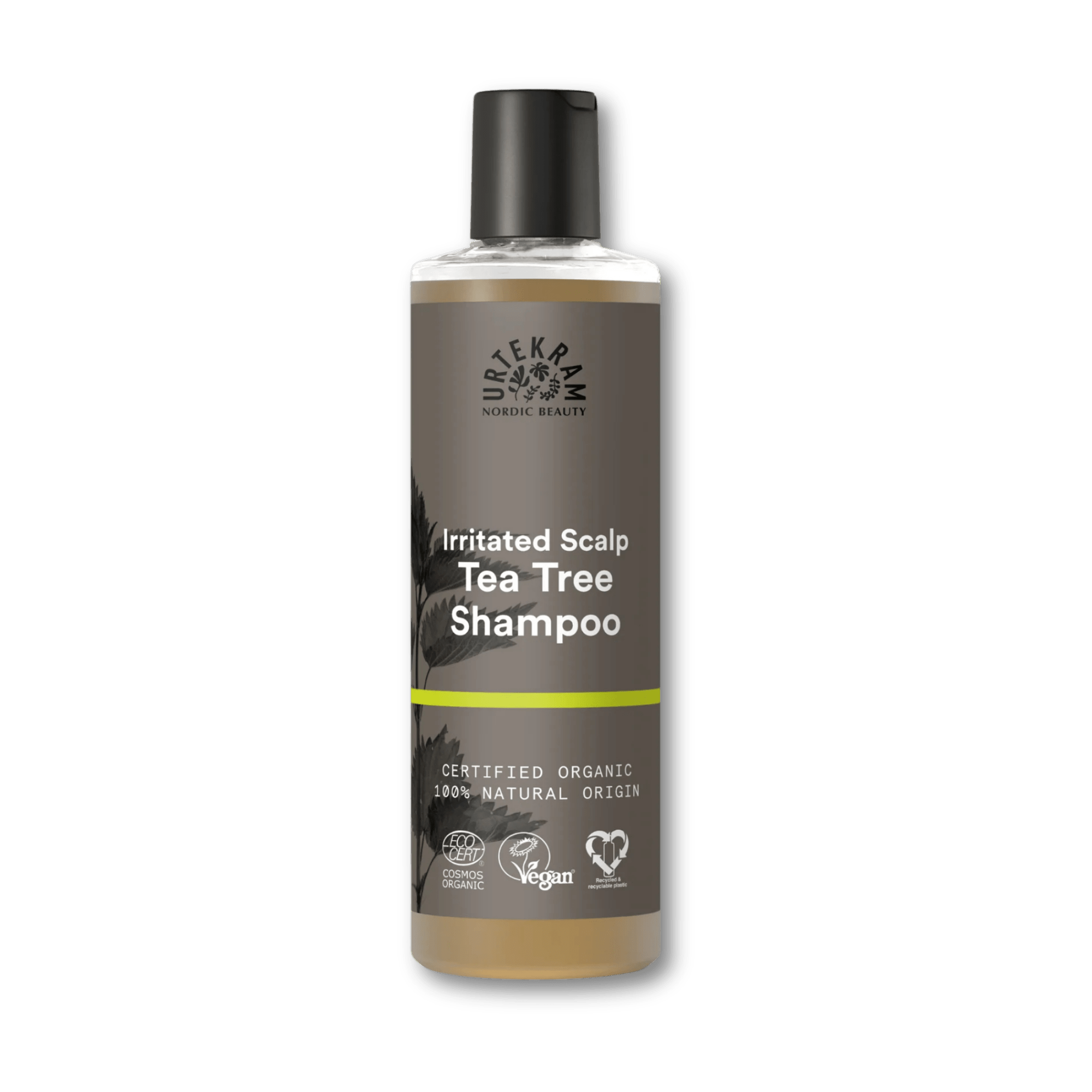 Shampoing Tea Tree Cuir Chevelu Sensible