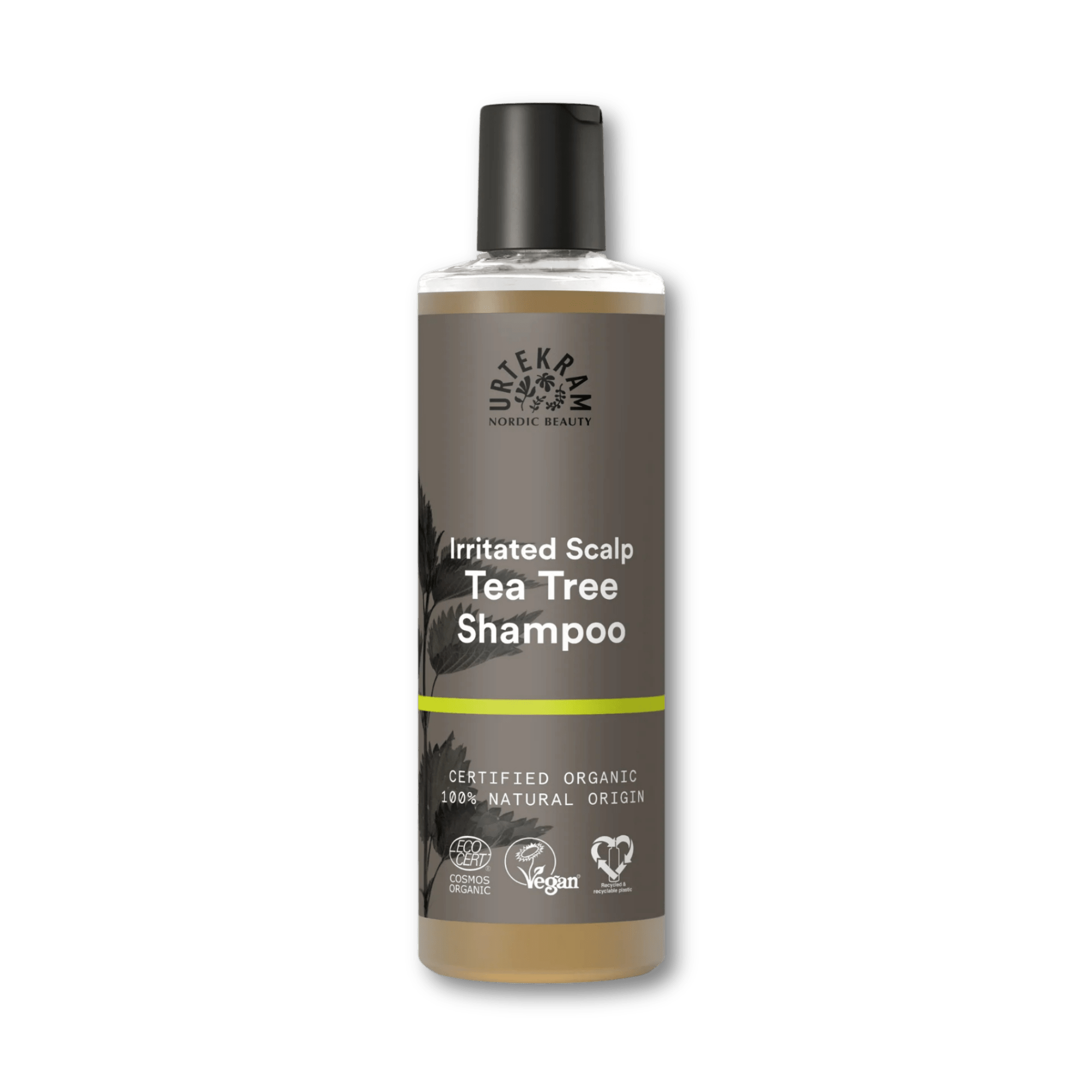 Shampoing Tea Tree Cuir Chevelu Sensible