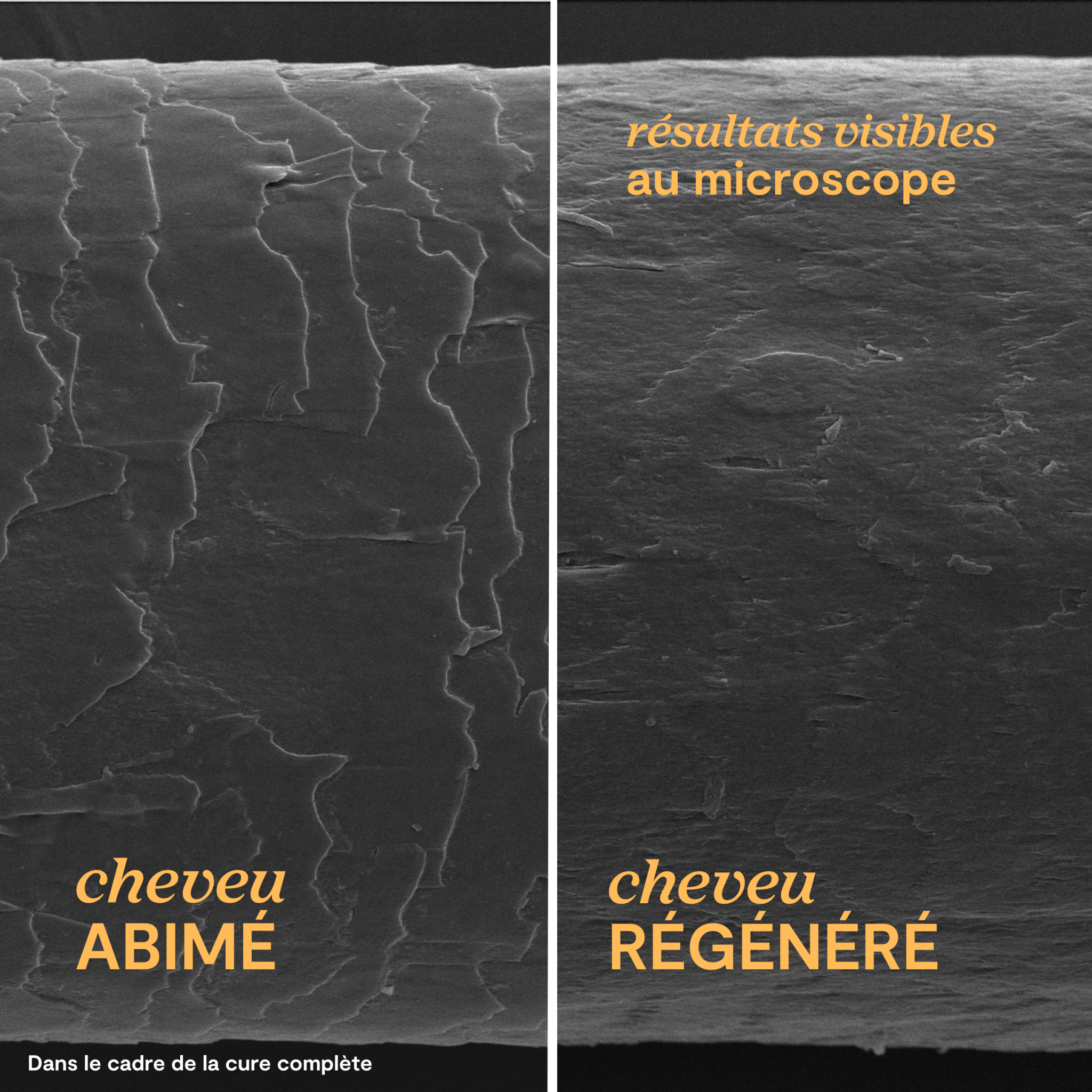 Crème Capillaire Réparatrice