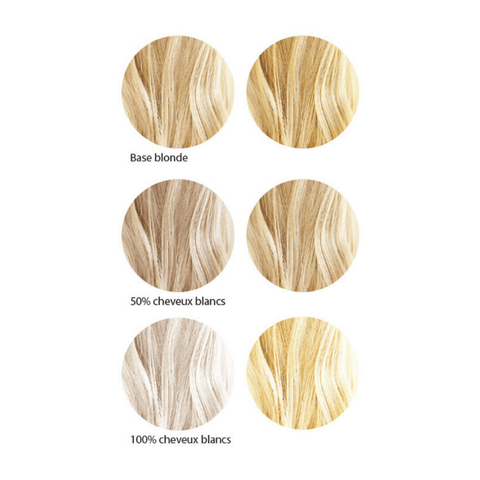 Coloration Végétale Blond Clair