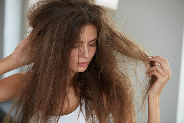 Cheveux secs et déshydratés : causes et solutions
