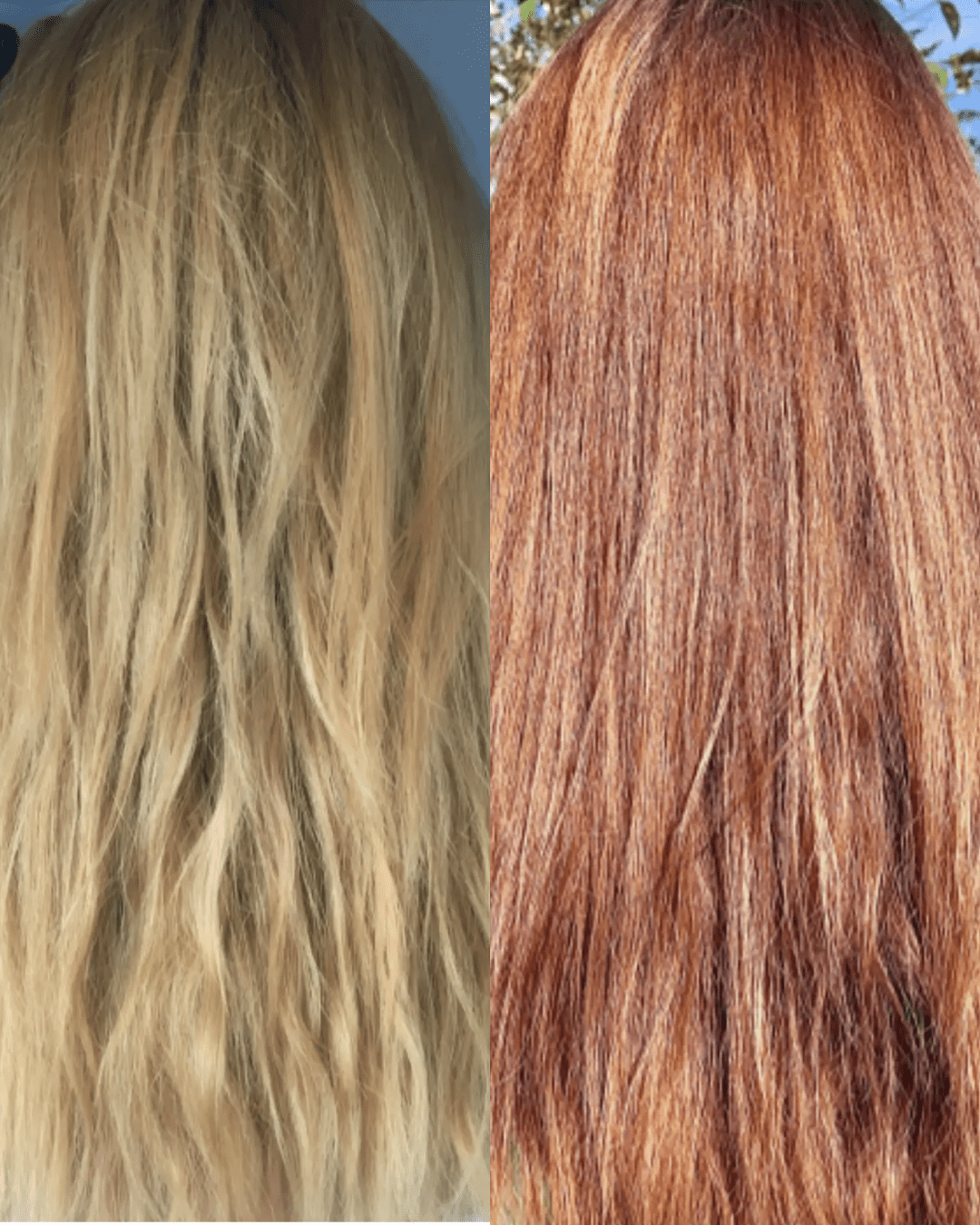 La transition capillaire cheveux lisses de Mélissande