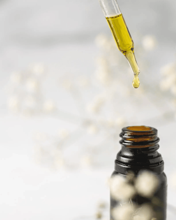 Comment prendre soin de ses cheveux grâce à l'huile de jojoba ?