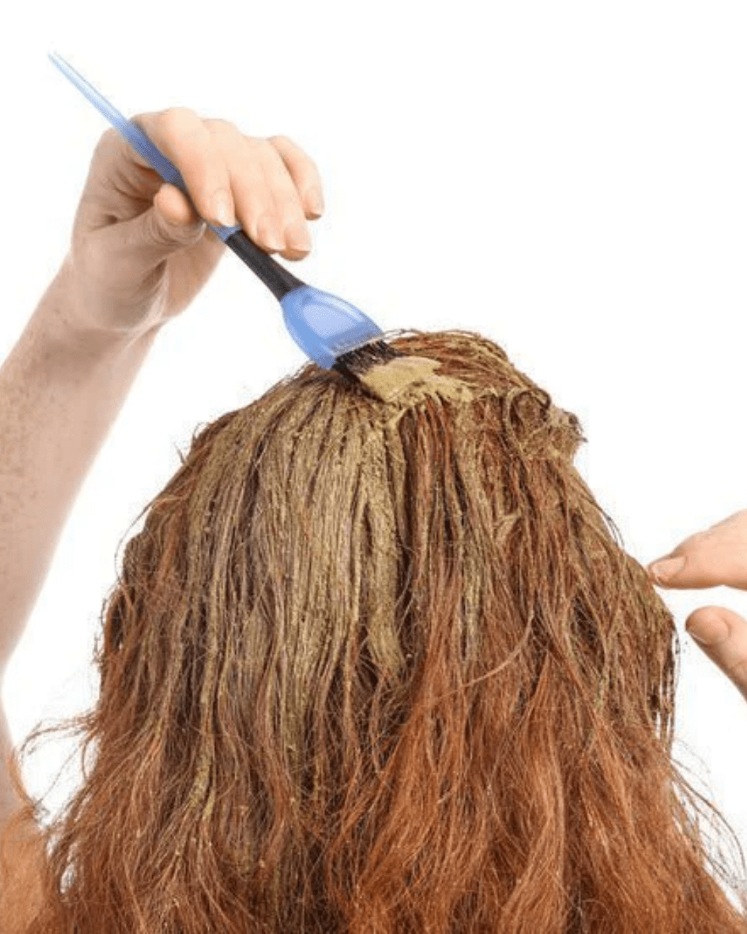 Les bienfaits insoupçonnés des poudres ayurvédiques pour les cheveux et comment les choisir ?