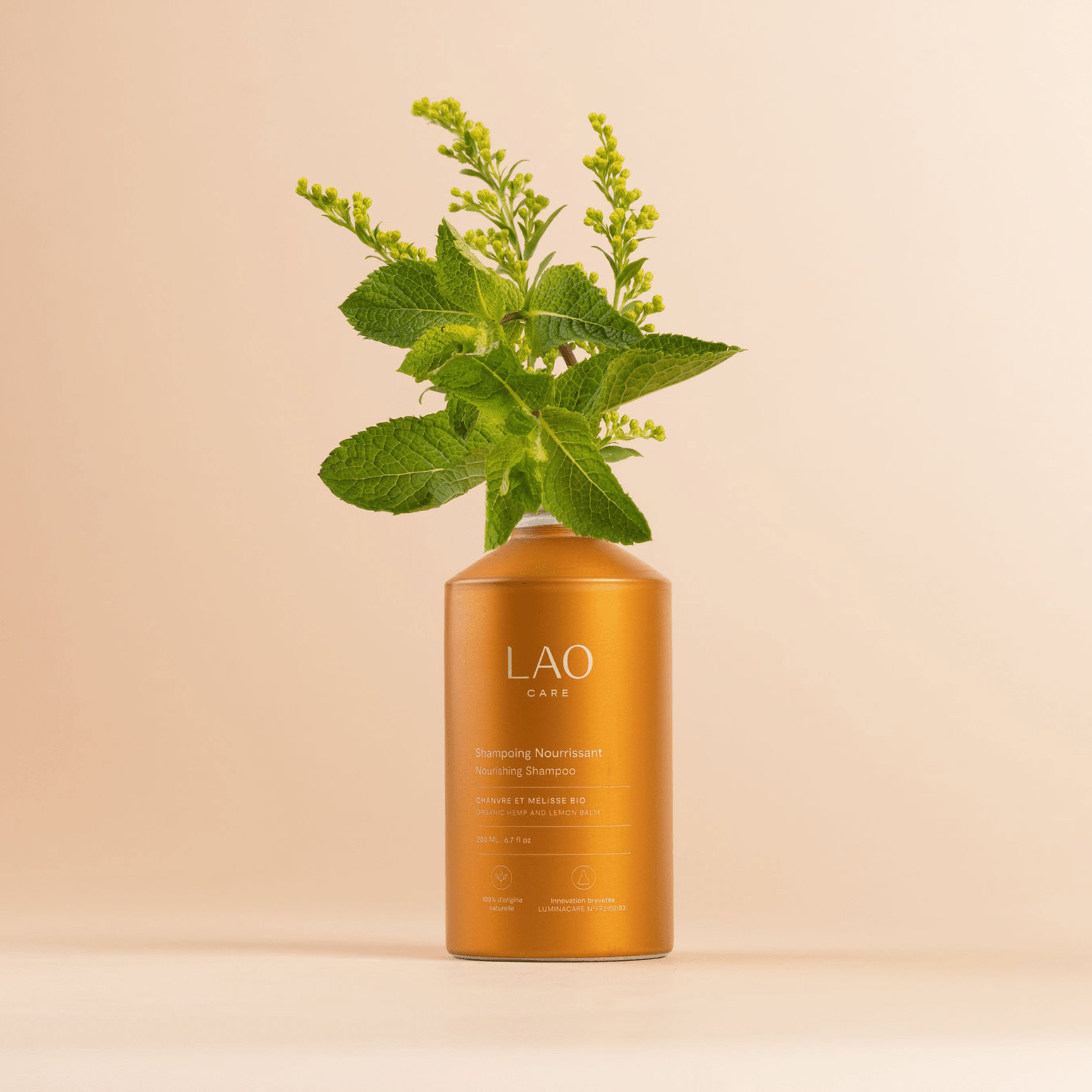 Shampoing Nourrissant