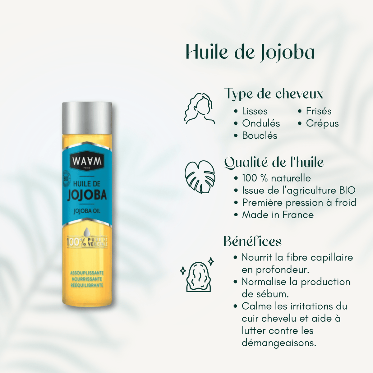 Huile de Jojoba