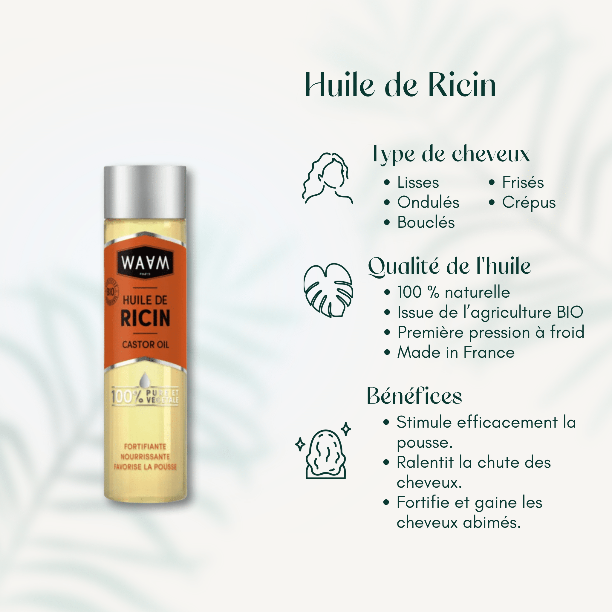 Huile de Ricin