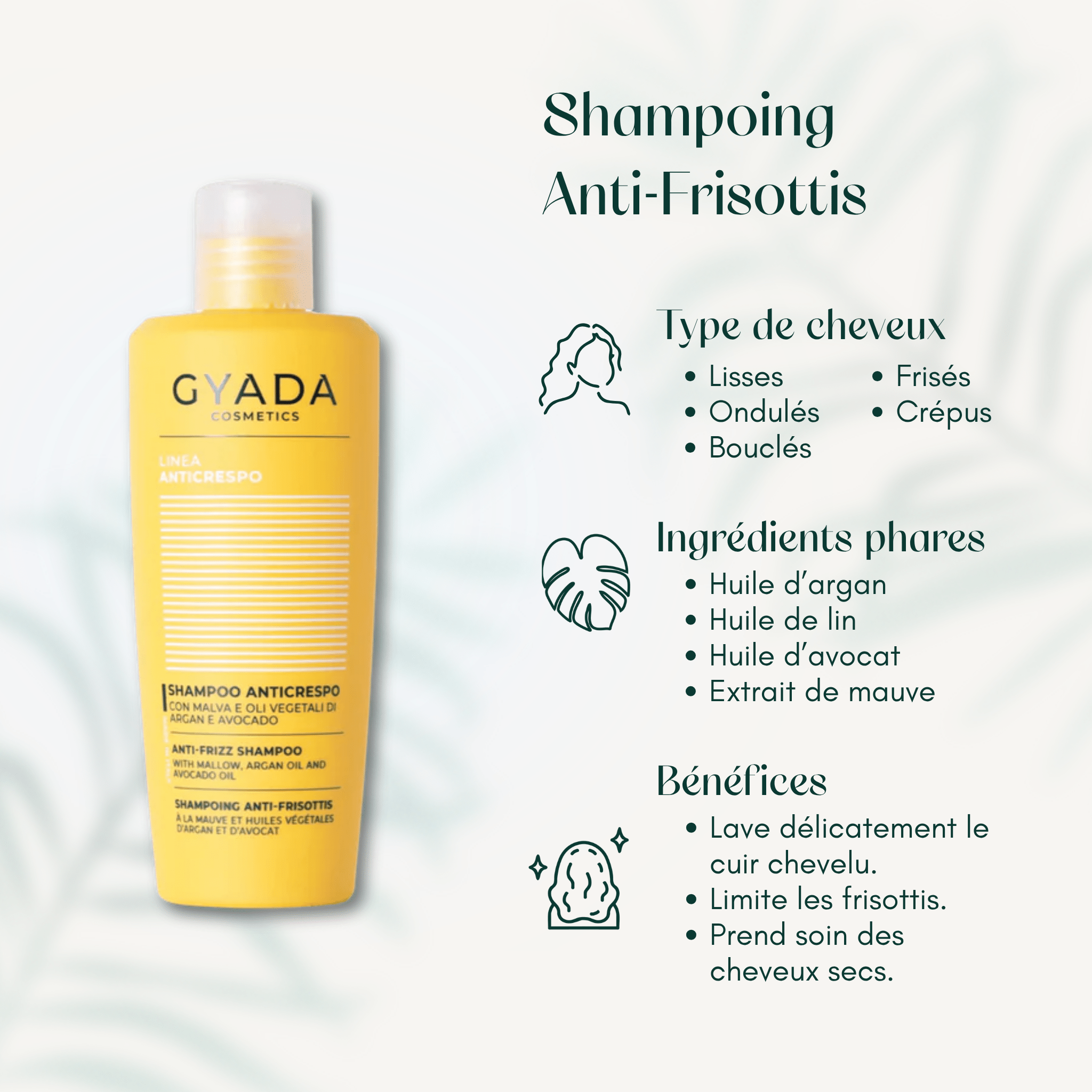 Shampoing Anti-Frisottis