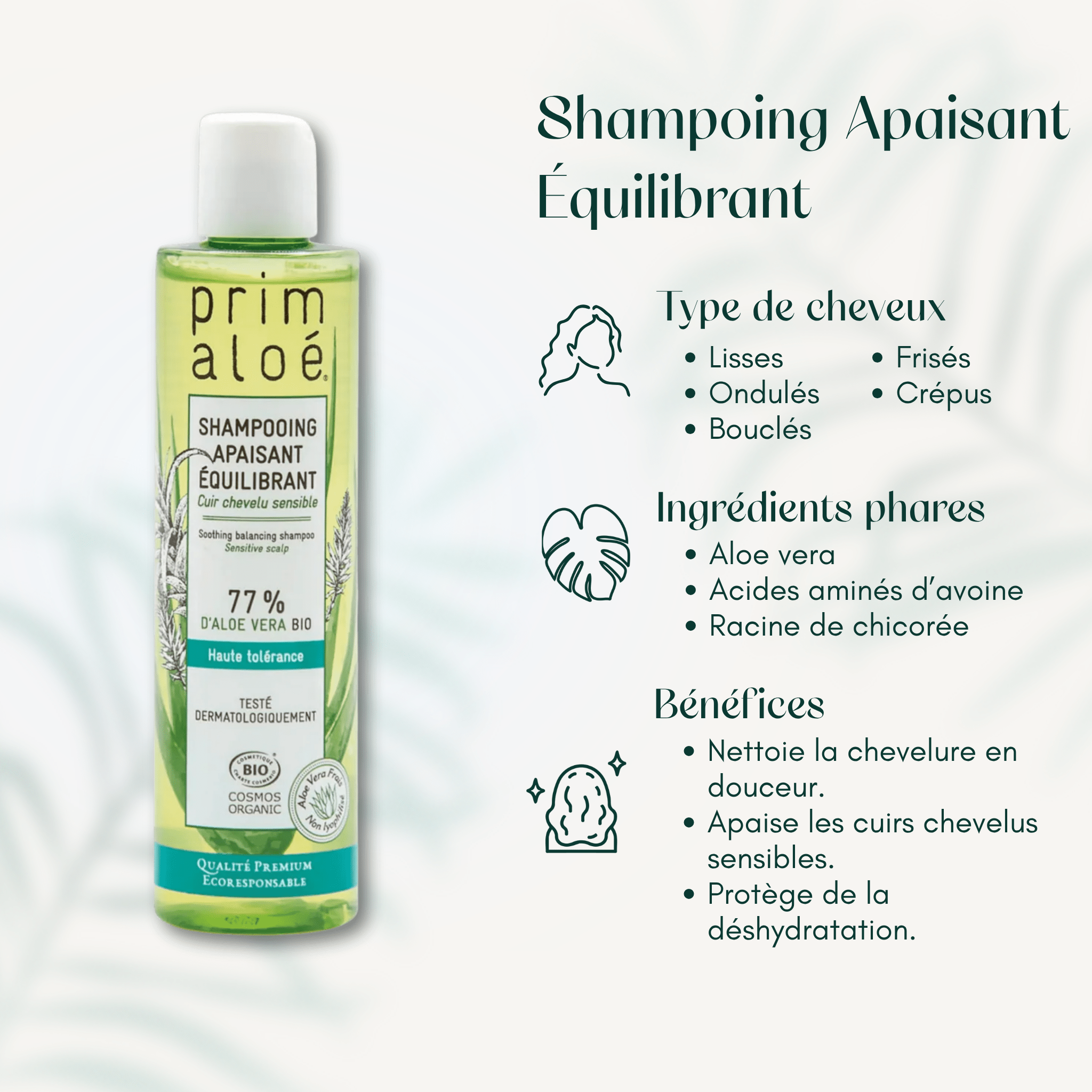 Shampoing Apaisant Équilibrant