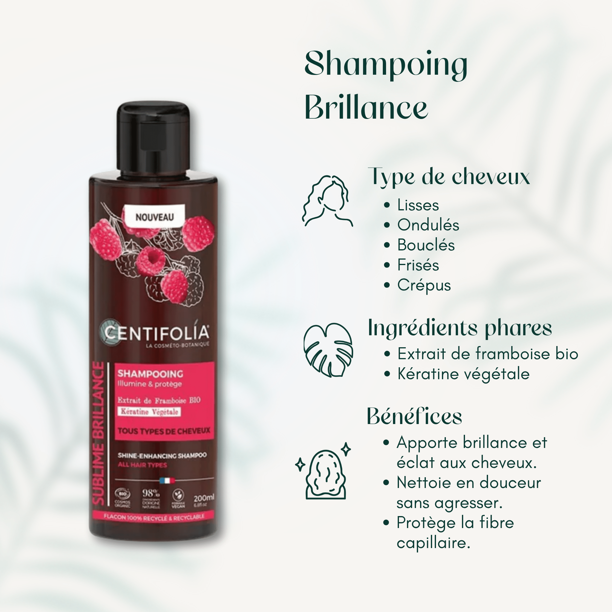 Shampoing Brillance