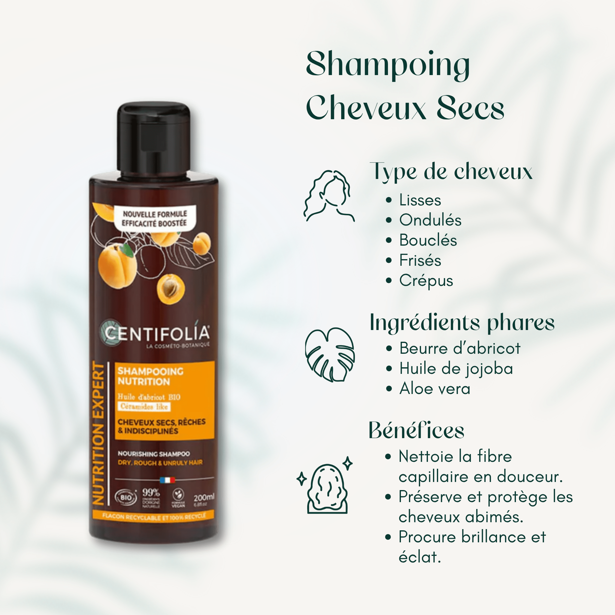 Shampoing Cheveux Secs