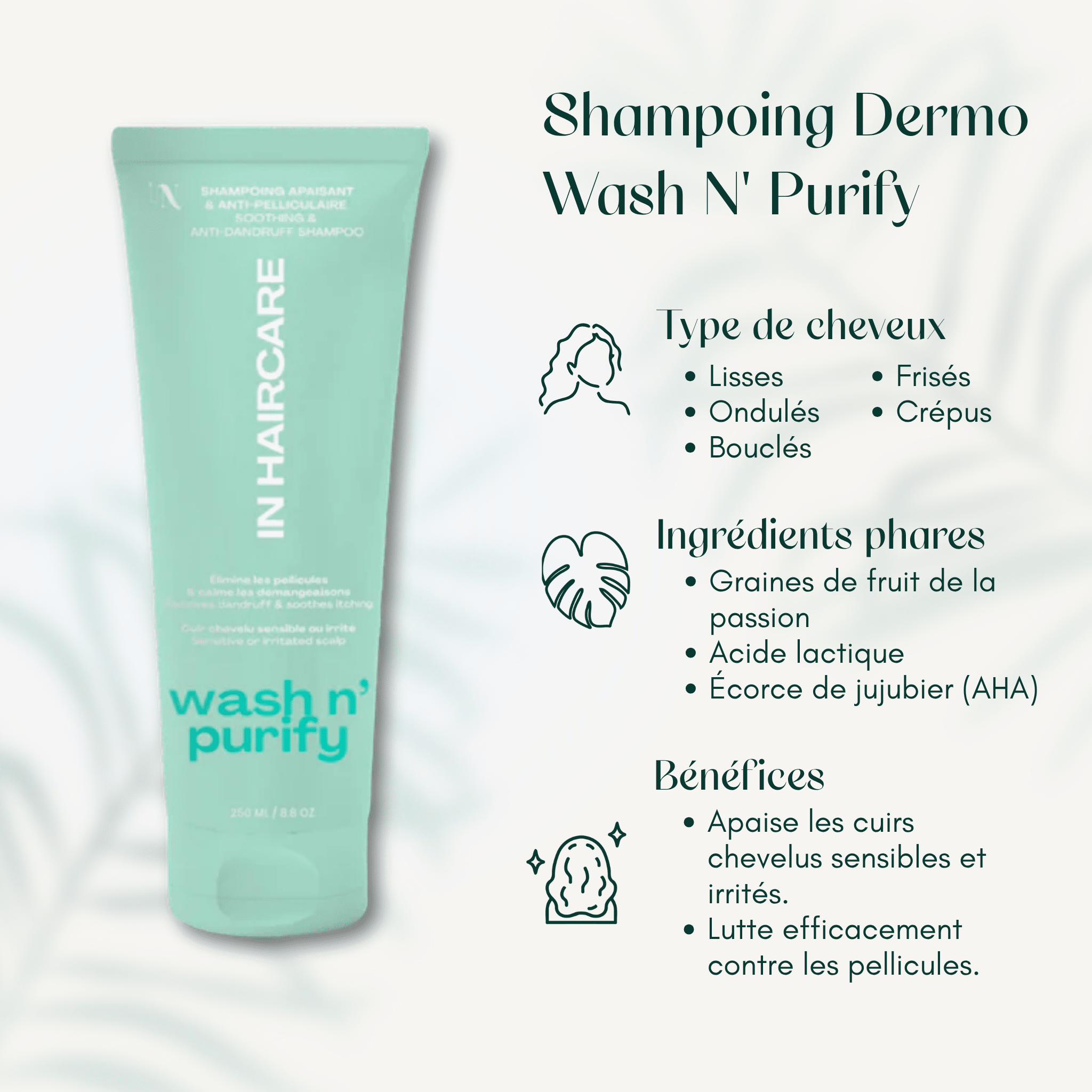 Shampoing Dermo Wash N' Purify