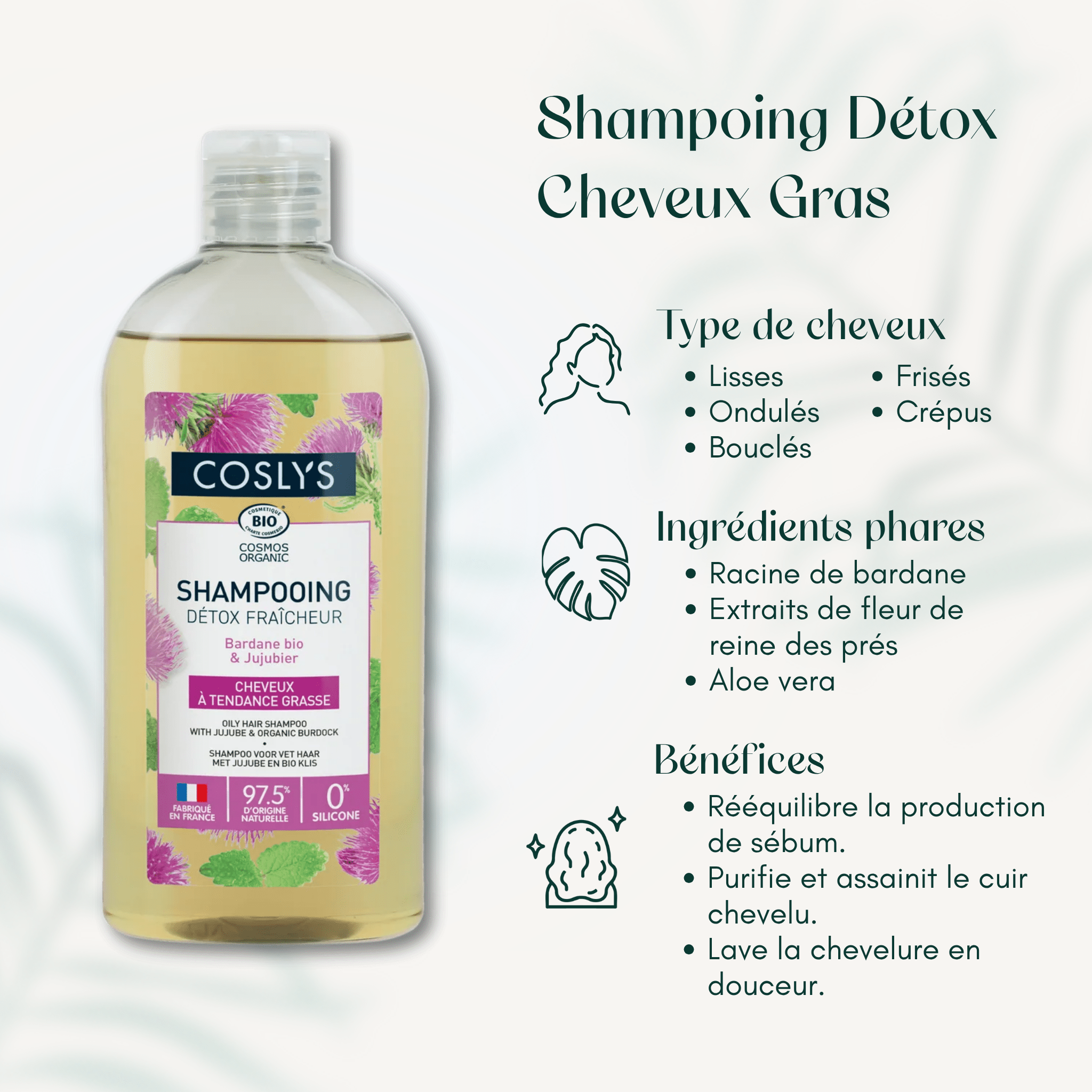 Shampoing Détox Cheveux Gras