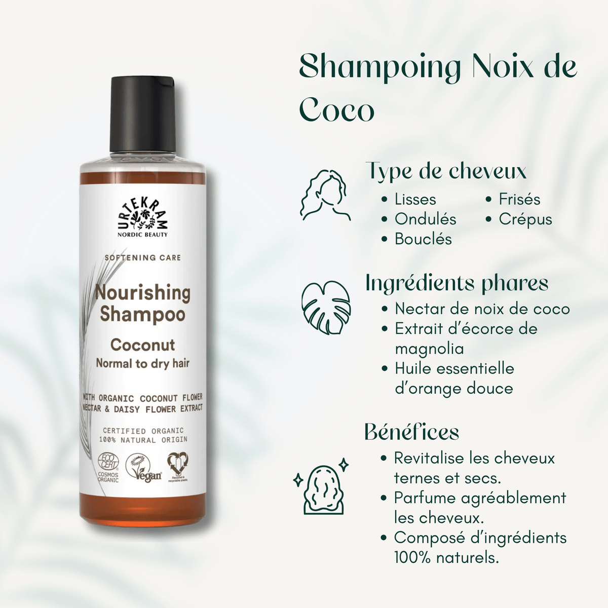 Shampoing Noix de Coco