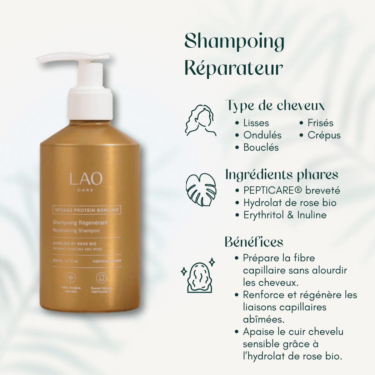Shampoing Réparateur