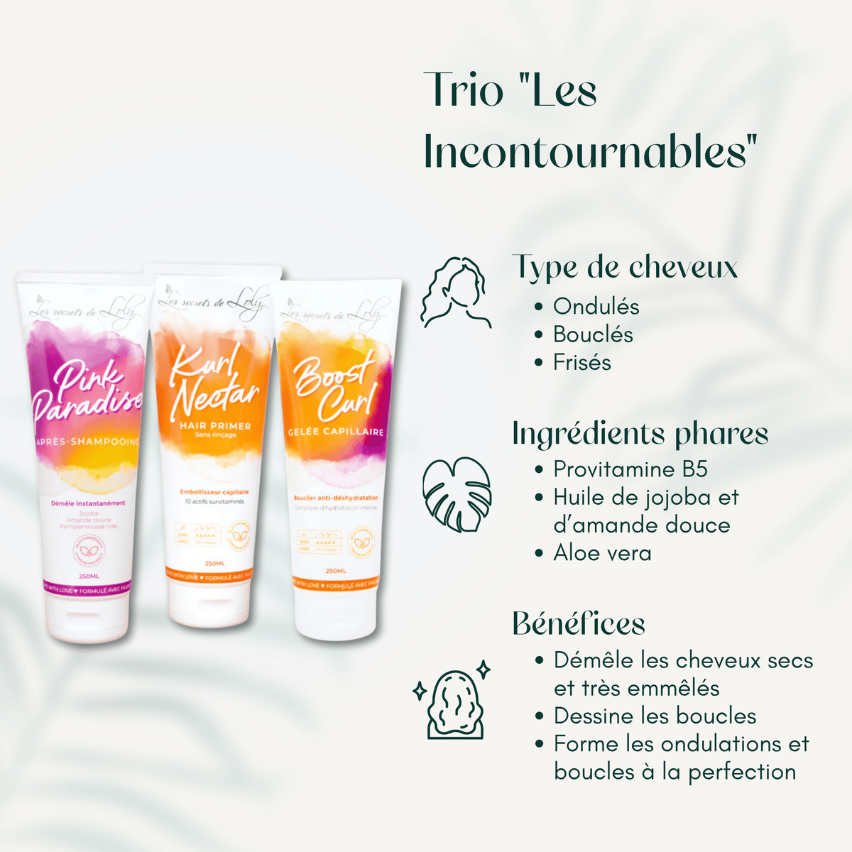 Trio "Les Incontournables"
