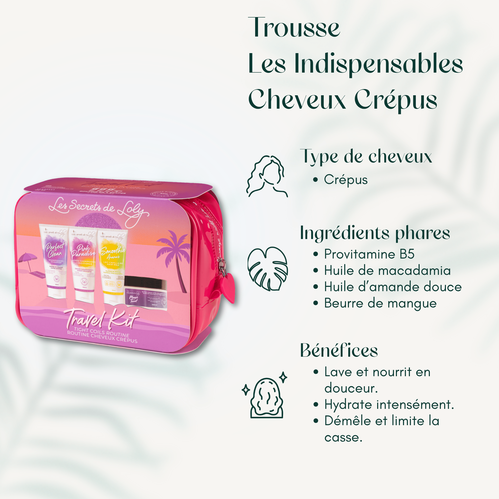 Trousse Les Indispensables Cheveux Crépus